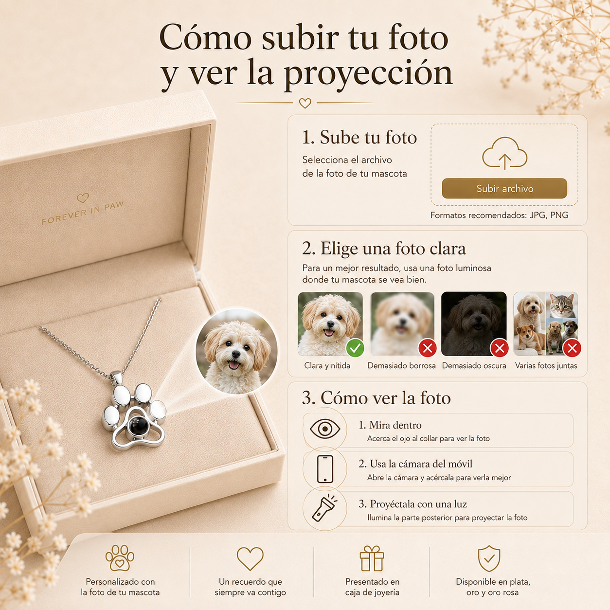 Collar de Proyección de Fotos de Mascotas - PawMory